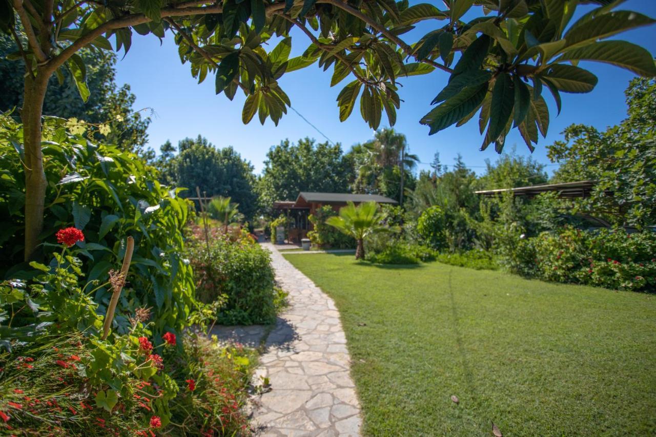 Ugur Pansiyon Bungalows Çıralı Εξωτερικό φωτογραφία