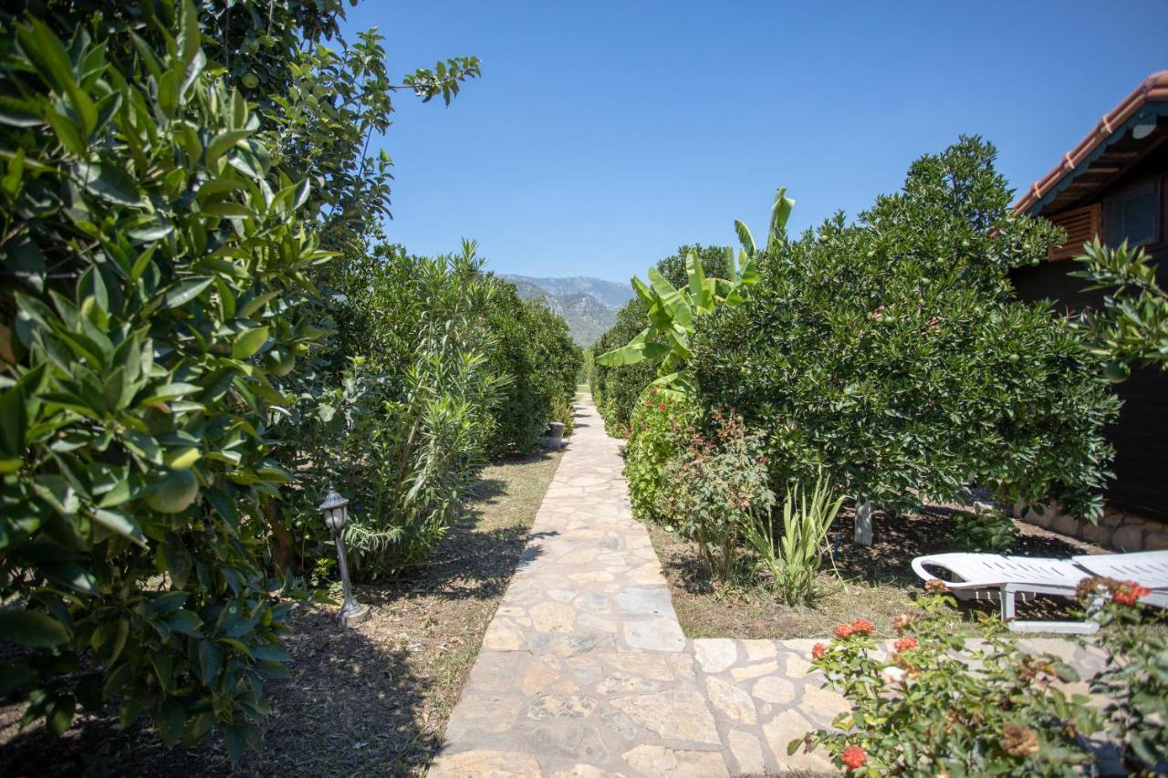 Ugur Pansiyon Bungalows Çıralı Εξωτερικό φωτογραφία