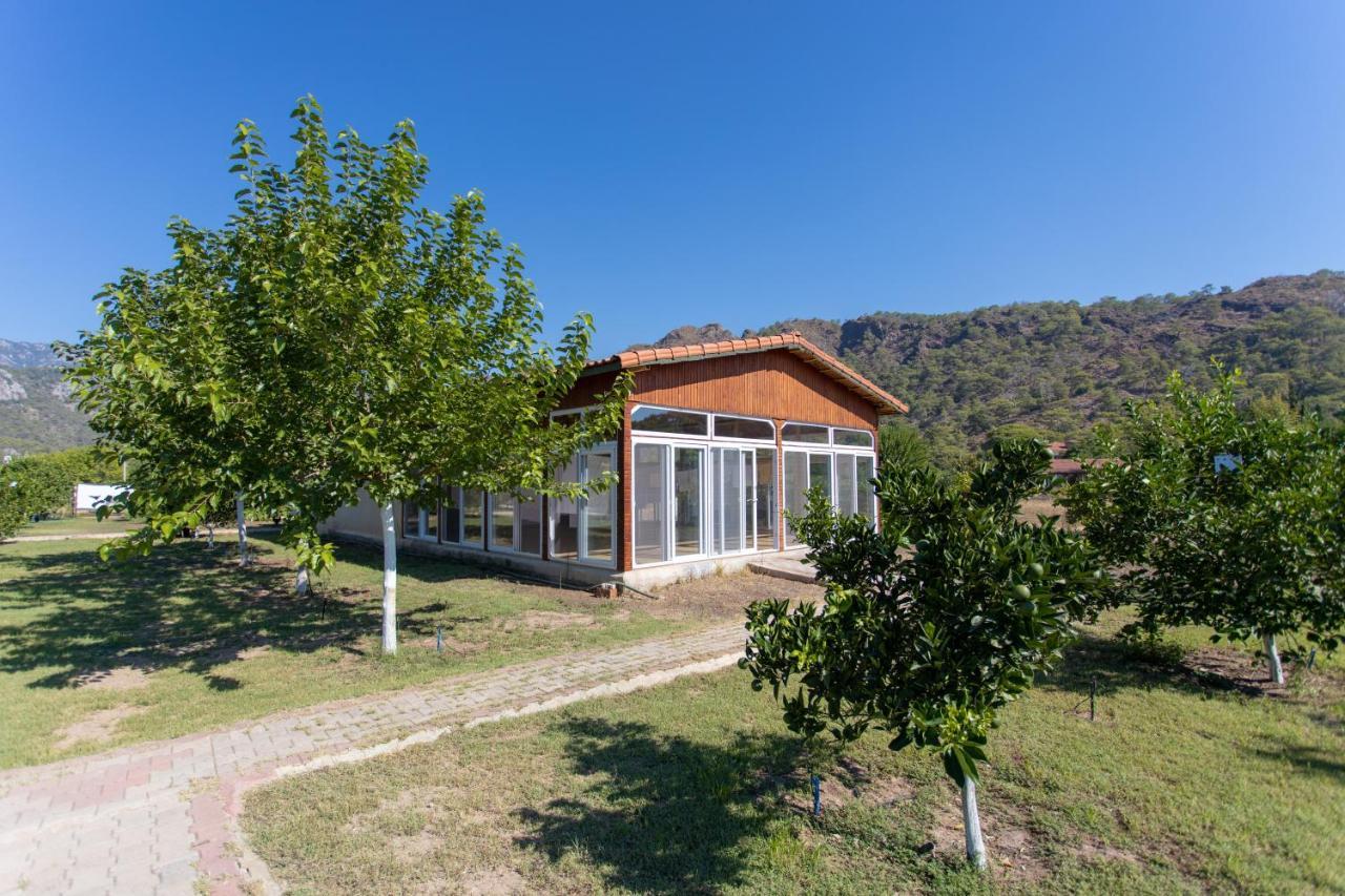 Ugur Pansiyon Bungalows Çıralı Εξωτερικό φωτογραφία