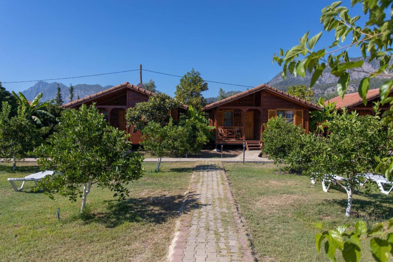 Ugur Pansiyon Bungalows Çıralı Εξωτερικό φωτογραφία