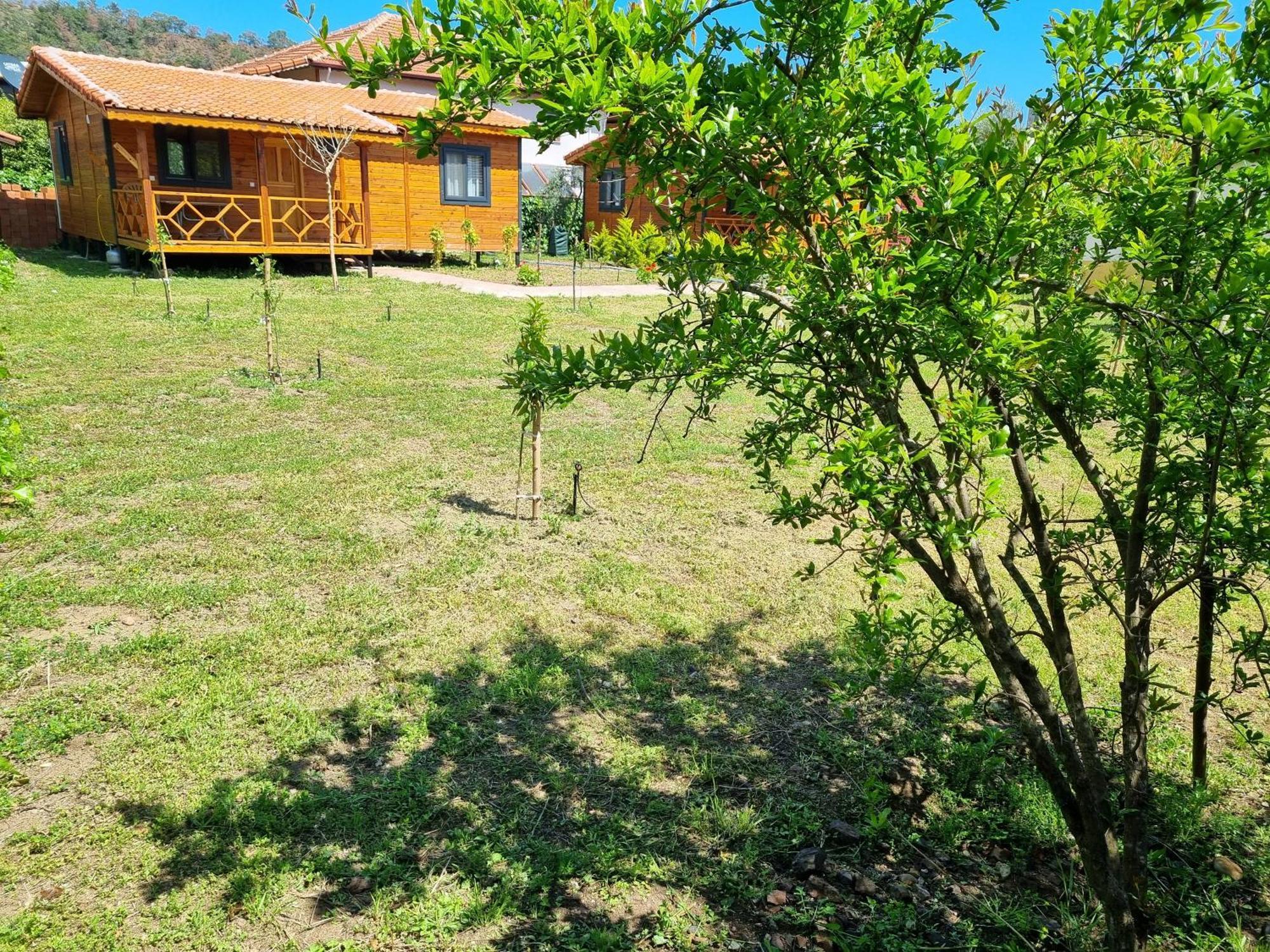 Ugur Pansiyon Bungalows Çıralı Εξωτερικό φωτογραφία